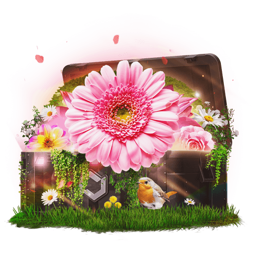 Blossom Mining Case